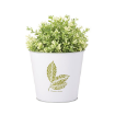 Picture of Leaf Print Flowerpot