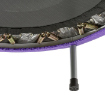 Picture of Mini Trampoline